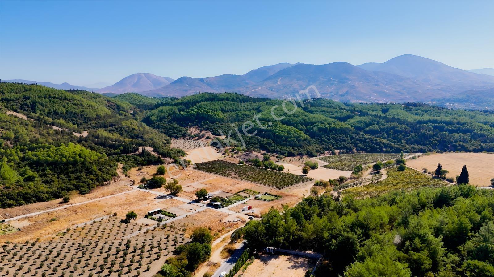 Seferihisarda 608m² Ana Yol Cepheli Koop.his. | Elektrik Su.. — fotoğraf 25