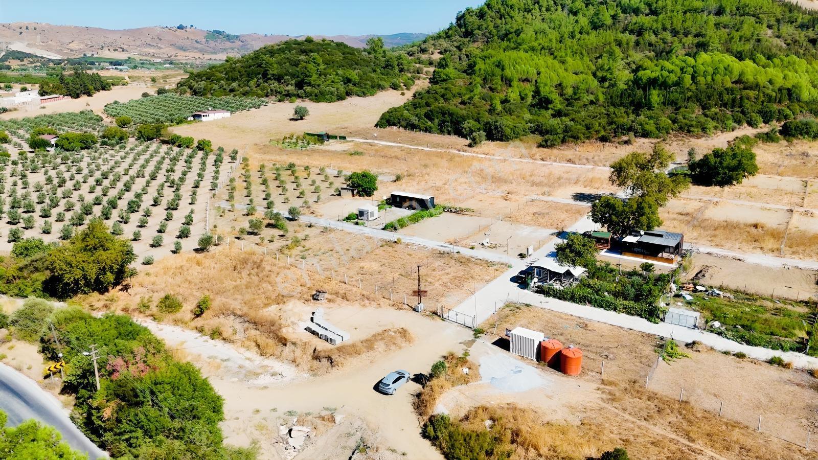 Seferihisarda 608m² Ana Yol Cepheli Koop.his. | Elektrik Su.. — fotoğraf 29