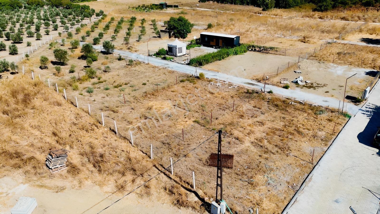 Seferihisarda 608m² Ana Yol Cepheli Koop.his. | Elektrik Su.. — fotoğraf 37