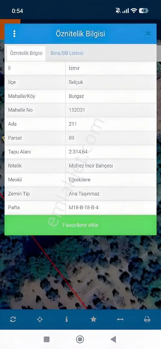 Tek Tapu Yola Yakin Zeytinlik — fotoğraf 2
