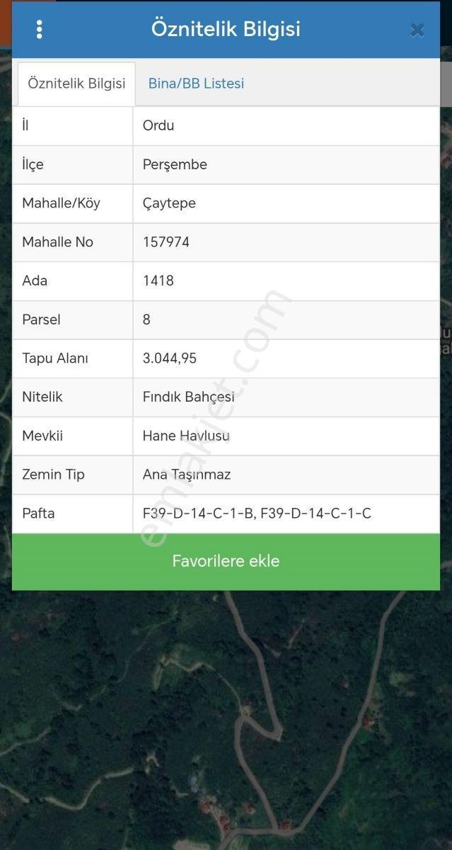 Ordu Perşembe Çaytepede Deniz Manzaralı 3.045 M² Fındık Bahçesi — fotoğraf 2