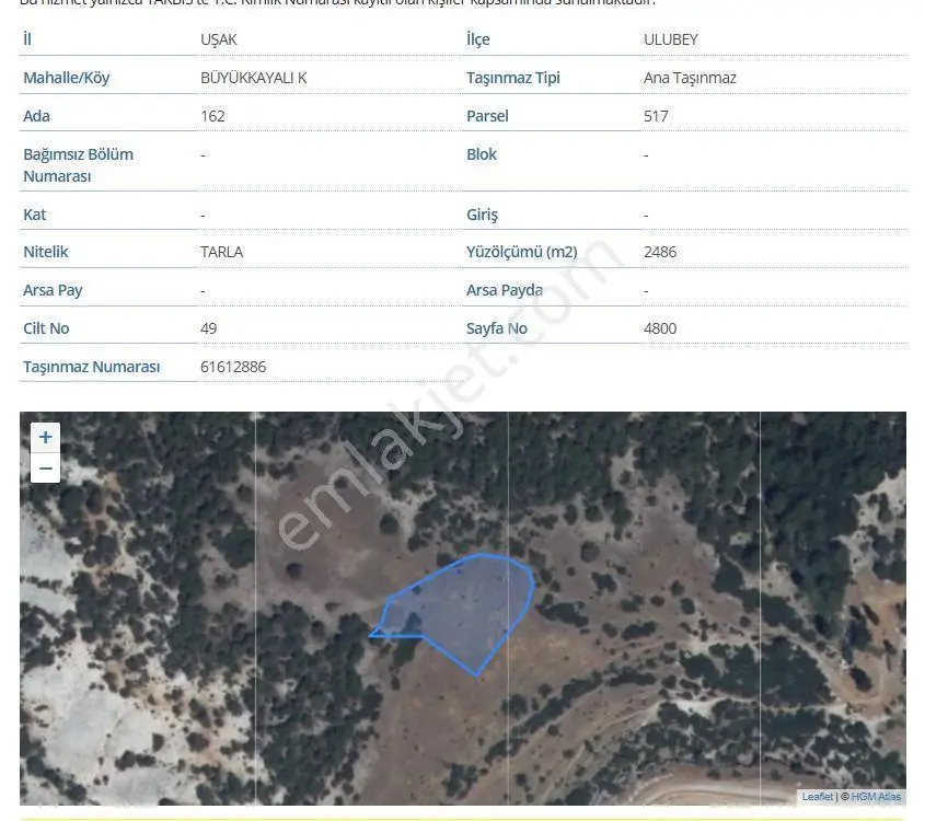 Uşak Ulubey Büyükkayalı Köyü'Nde 6372 M² Satılık Tarla