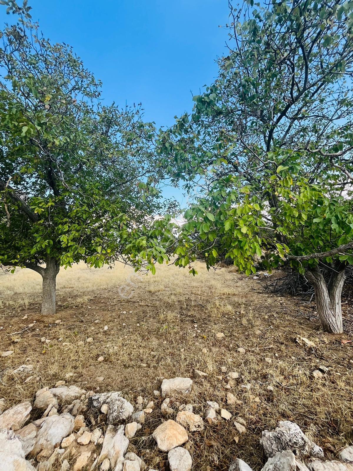 Beydere'de Satılık Fırsat Arazi — fotoğraf 6