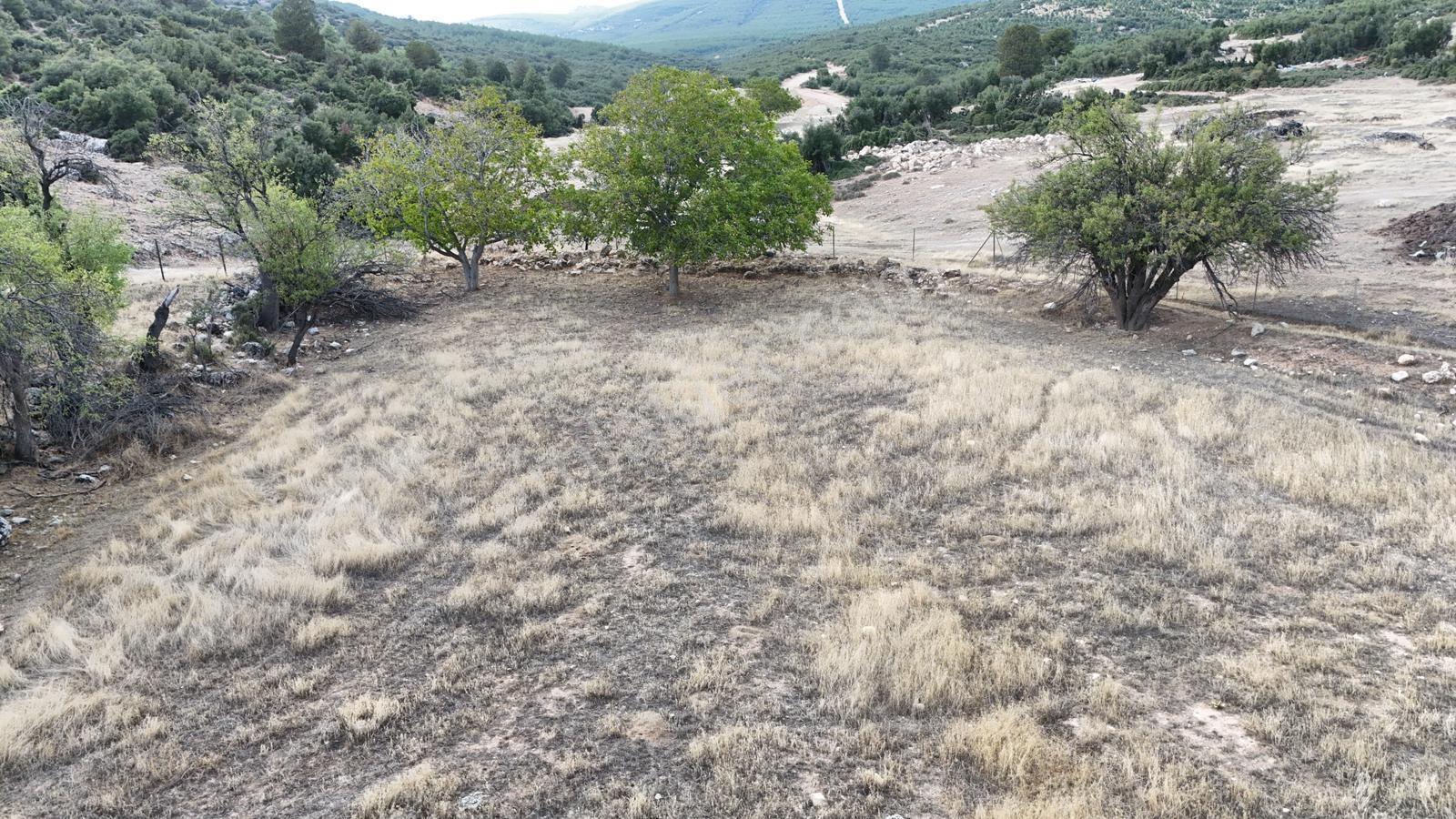 Beydere'de Satılık Fırsat Arazi — fotoğraf 8