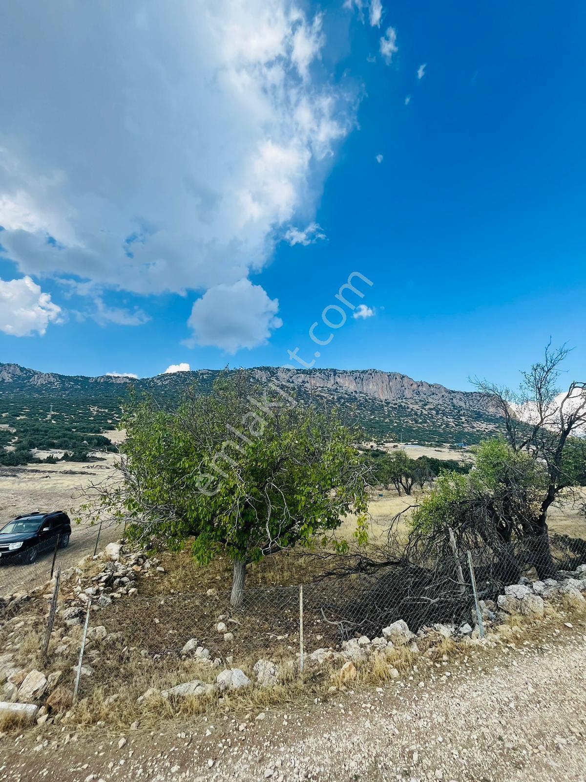 Beydere'de Satılık Fırsat Arazi — fotoğraf 10