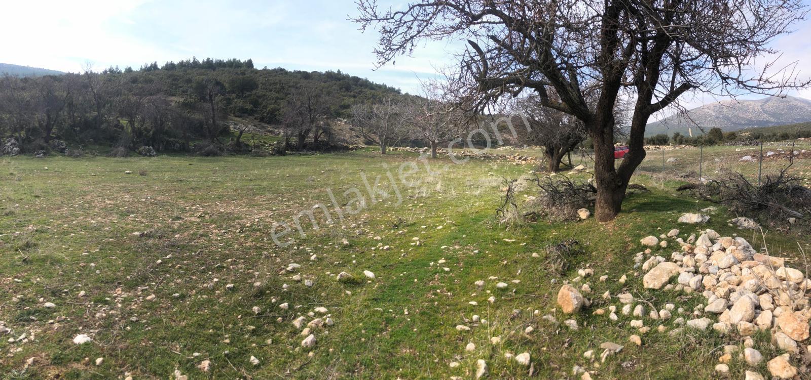 Beydere'de Satılık Fırsat Arazi — fotoğraf 12