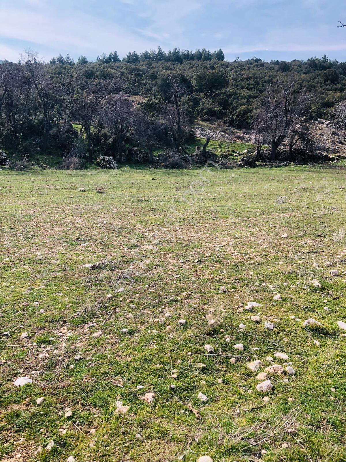 Beydere'de Satılık Fırsat Arazi — fotoğraf 13