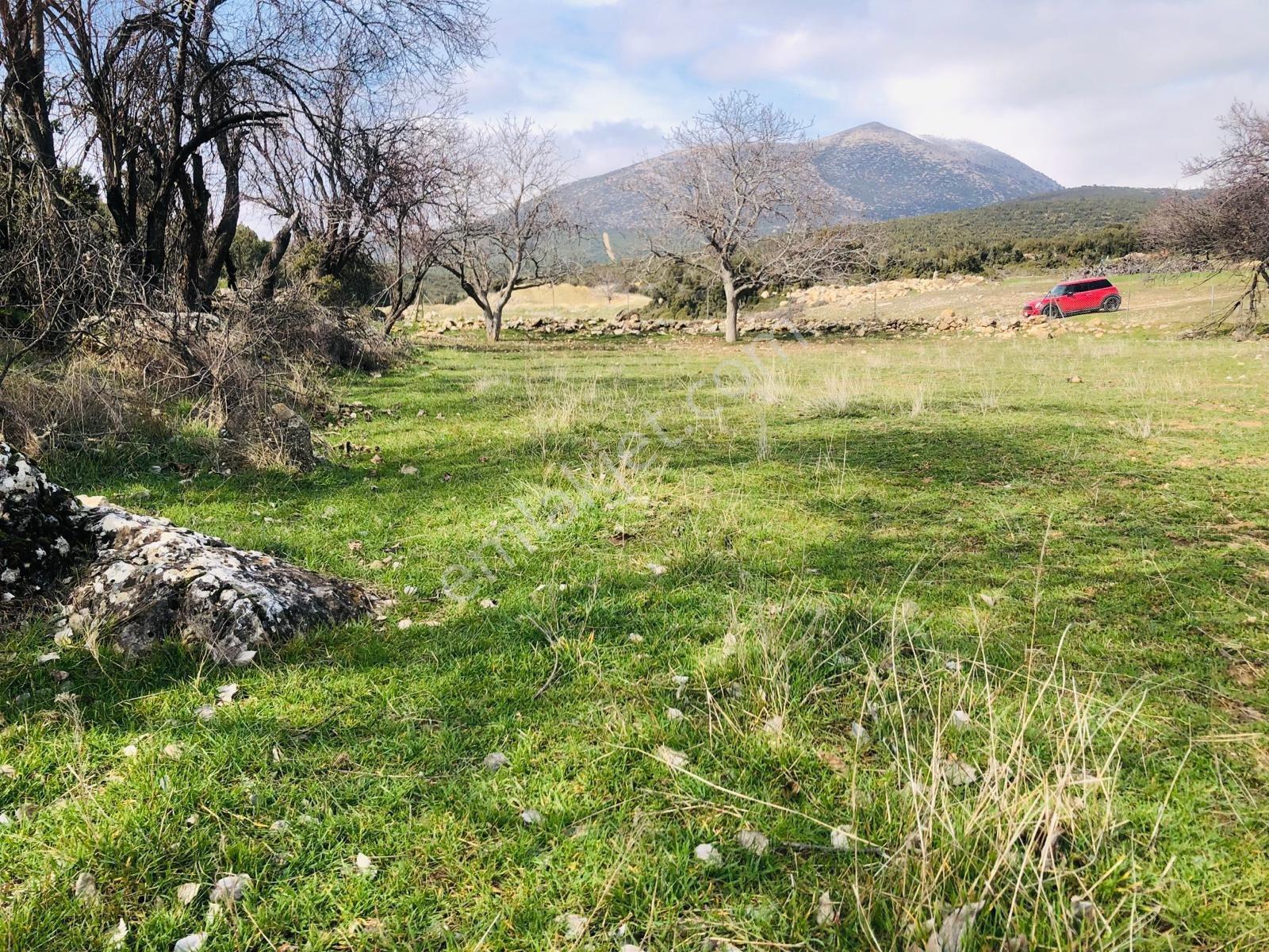 Beydere'de Satılık Fırsat Arazi — fotoğraf 14