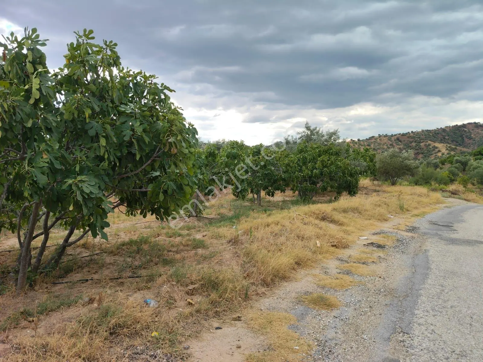 Gedikaltı Mahallesinde Yola Cepheli Satılık Bahçe — fotoğraf 2