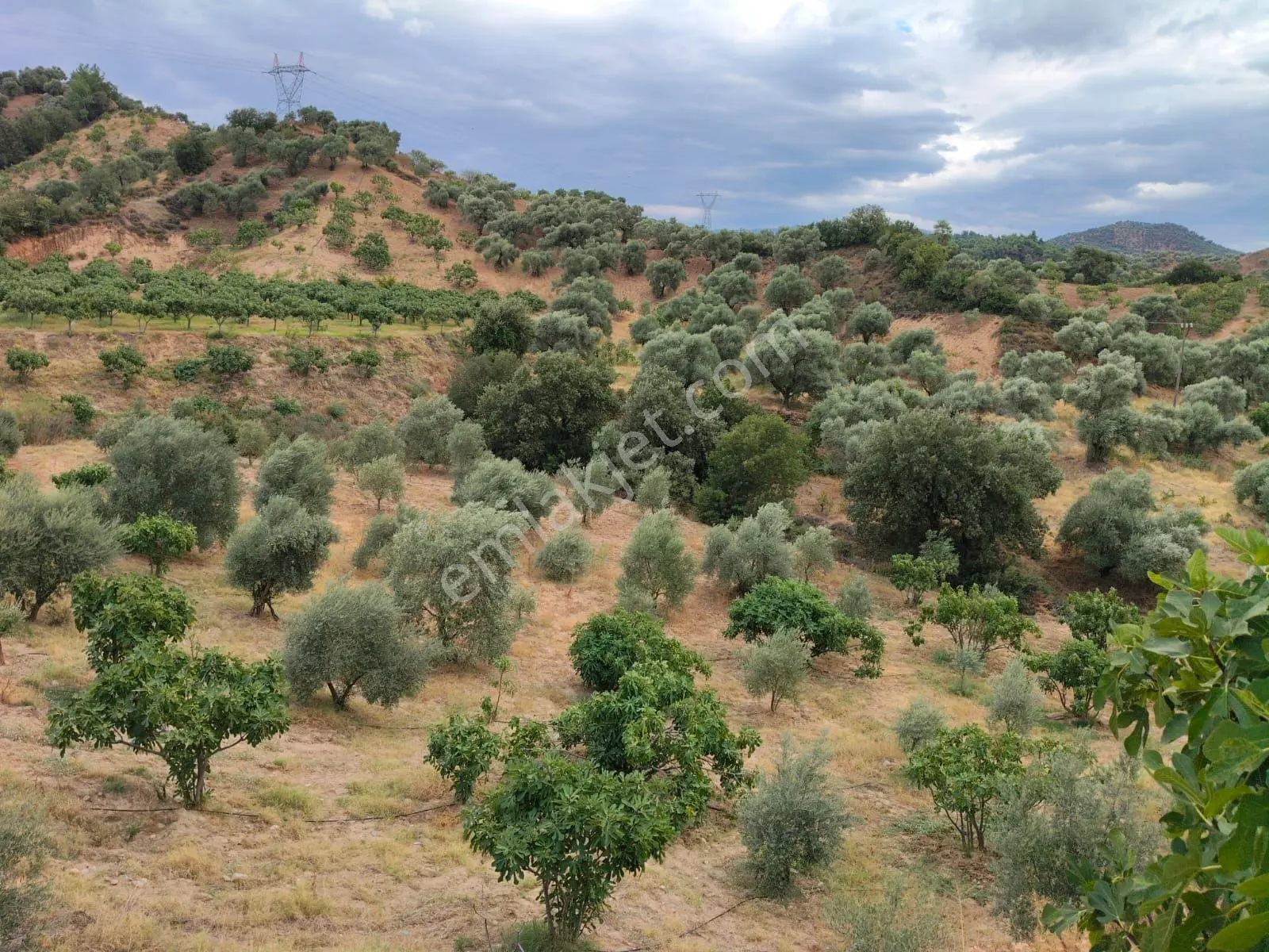 Gedikaltı Mahallesinde Yola Cepheli Satılık Bahçe — fotoğraf 4