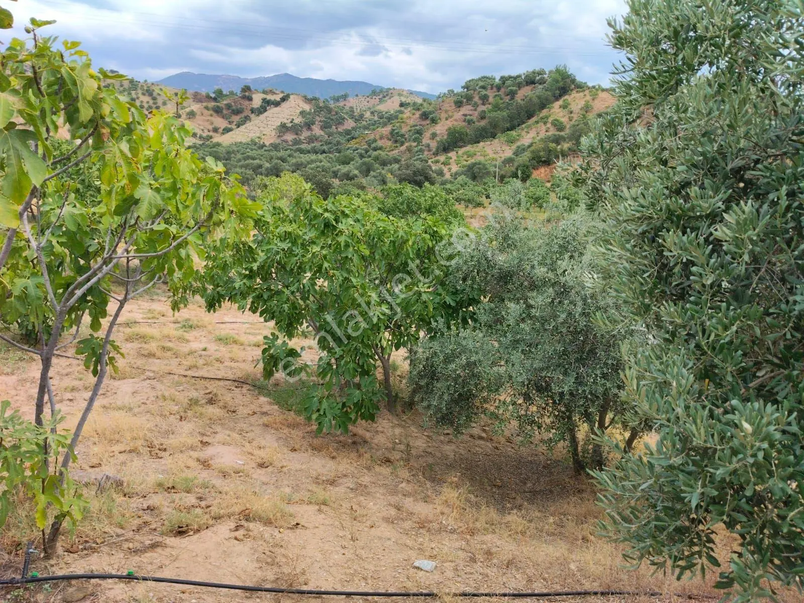 Gedikaltı Mahallesinde Yola Cepheli Satılık Bahçe — fotoğraf 5
