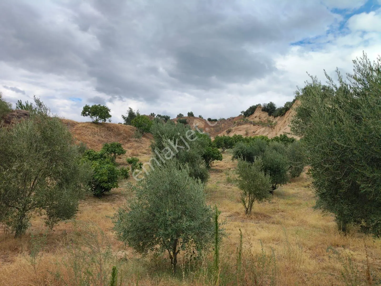 Gedikaltı Mahallesinde Yola Cepheli Satılık Bahçe — fotoğraf 7