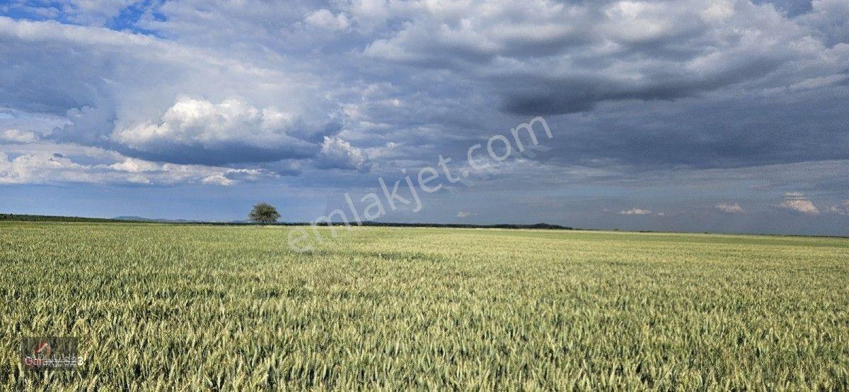Süloğlu Tatarlar Köyün'De 8.860 M2 Satılık Arazi