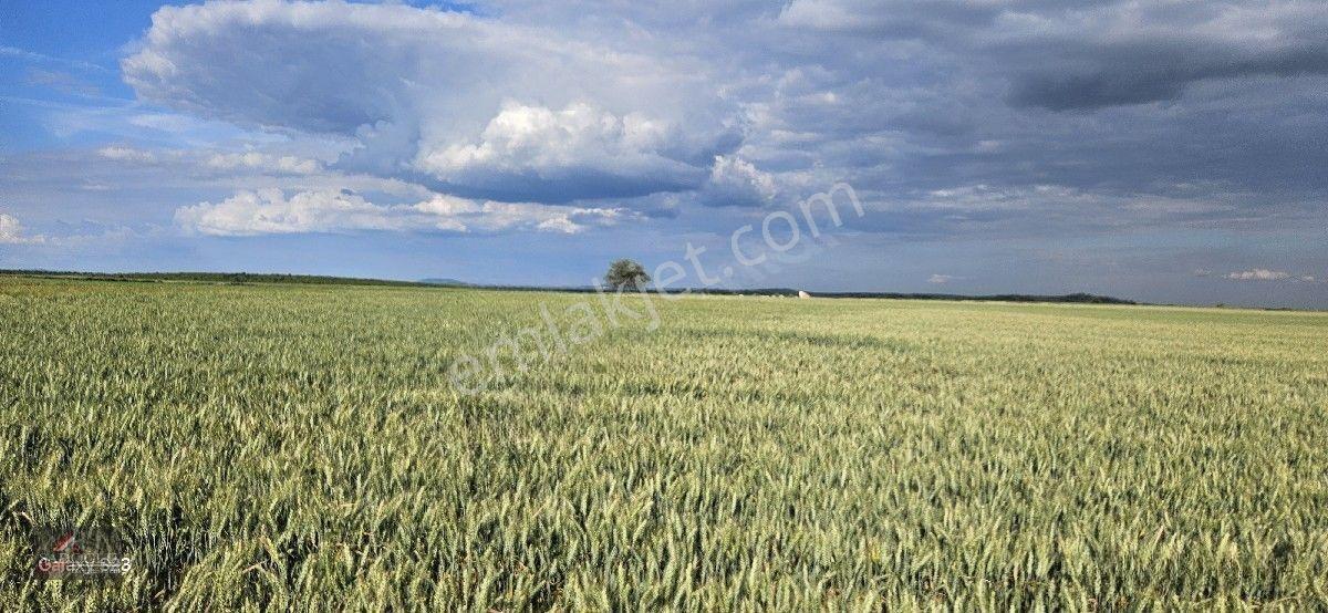 Süloğlu Tatarlar Köyün'de 8.860 M2 Satılık Arazi — fotoğraf 2