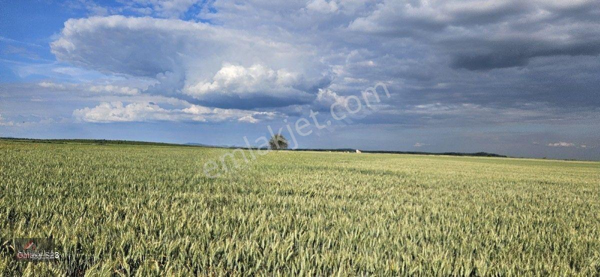 Süloğlu Tatarlar Köyün'de 8.860 M2 Satılık Arazi — fotoğraf 3