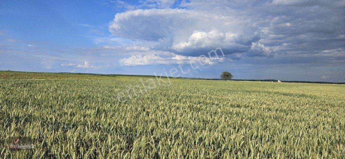 Süloğlu Tatarlar Köyün'de 8.860 M2 Satılık Arazi — fotoğraf 4