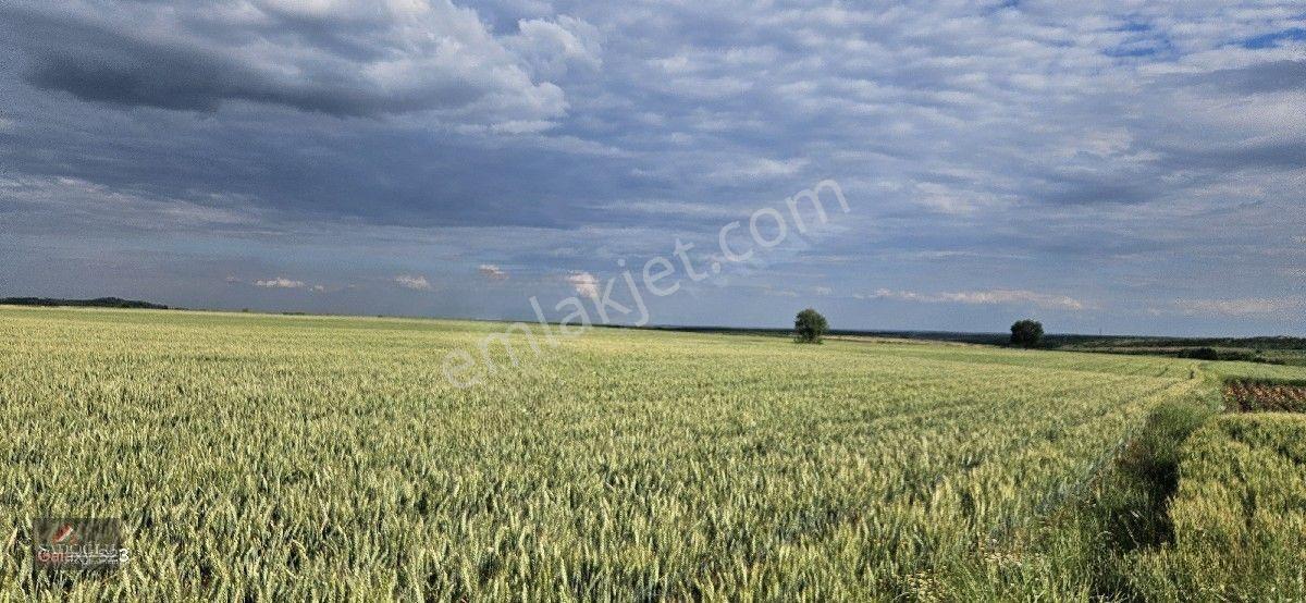 Süloğlu Tatarlar Köyün'de 8.860 M2 Satılık Arazi — fotoğraf 6