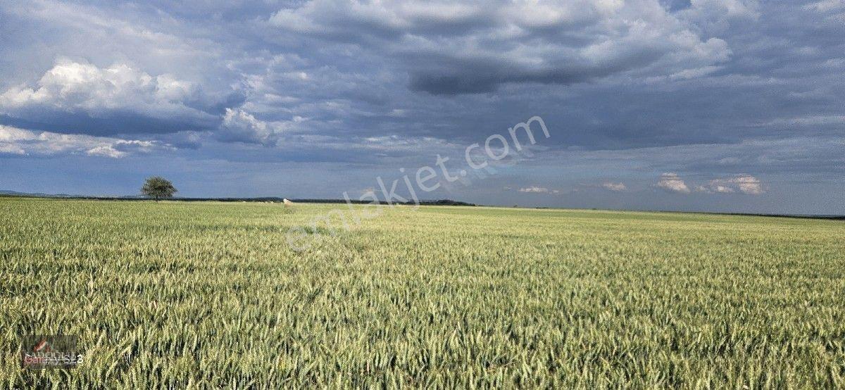 Süloğlu Tatarlar Köyün'de 8.860 M2 Satılık Arazi — fotoğraf 7