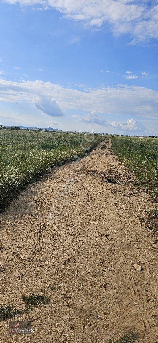 Süloğlu Tatarlar Köyün'de 8.860 M2 Satılık Arazi — fotoğraf 8