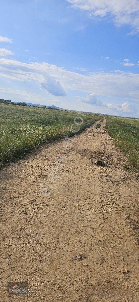 Süloğlu Tatarlar Köyün'de 8.860 M2 Satılık Arazi — fotoğraf 9