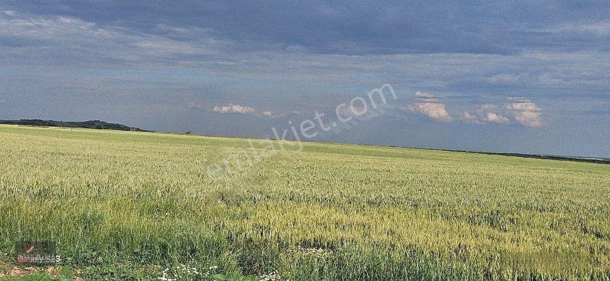 Süloğlu Tatarlar Köyün'de 8.860 M2 Satılık Arazi — fotoğraf 14
