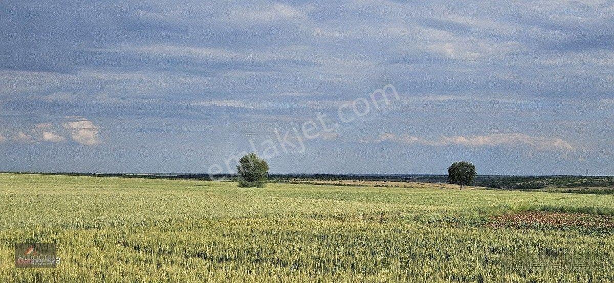 Süloğlu Tatarlar Köyün'de 8.860 M2 Satılık Arazi — fotoğraf 17