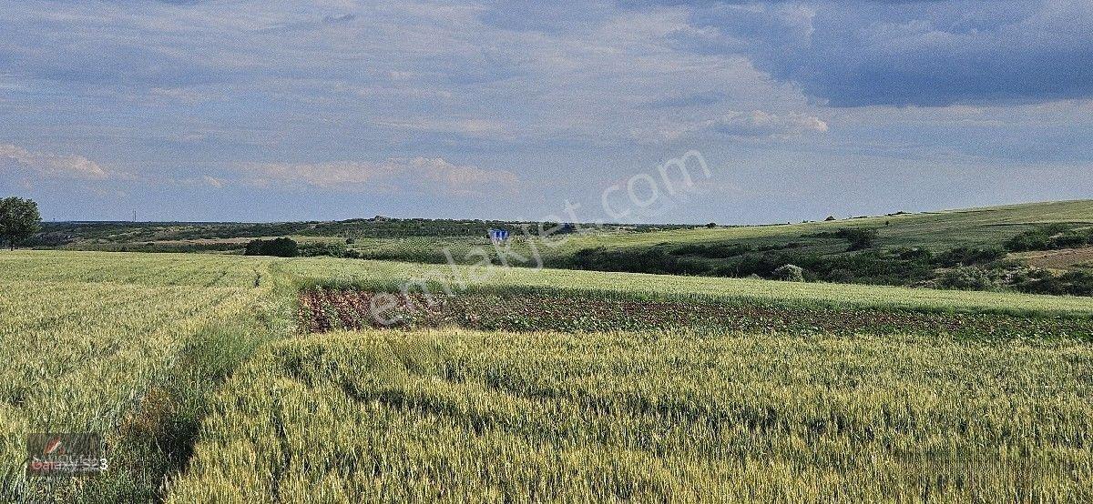 Süloğlu Tatarlar Köyün'de 8.860 M2 Satılık Arazi — fotoğraf 19