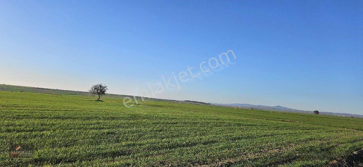 Süloğlu Tatarlar Köyün'de 8.860 M2 Satılık Arazi — fotoğraf 23