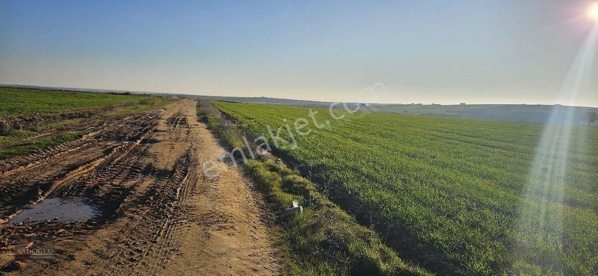 Süloğlu Tatarlar Köyün'de 8.860 M2 Satılık Arazi — fotoğraf 24