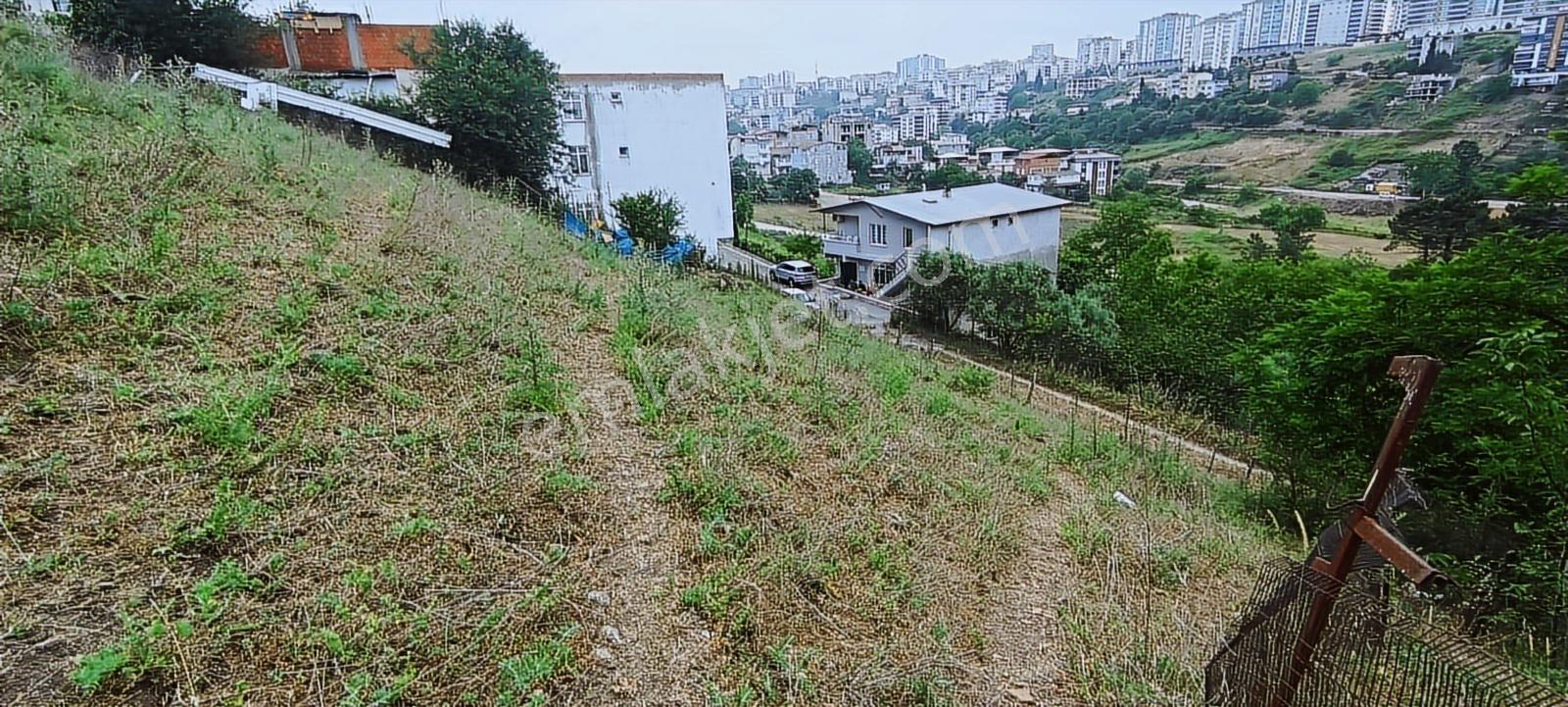 Hisar'dan Kalkancaya Cephe Acil Satılık Arsa Yatırımlık 504 M2 — fotoğraf 6