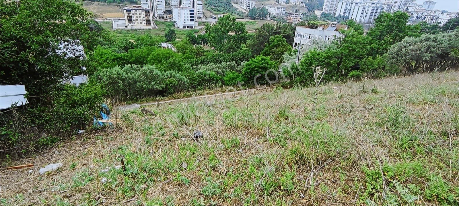 Hisar'dan Kalkancaya Cephe Acil Satılık Arsa Yatırımlık 504 M2 — fotoğraf 8
