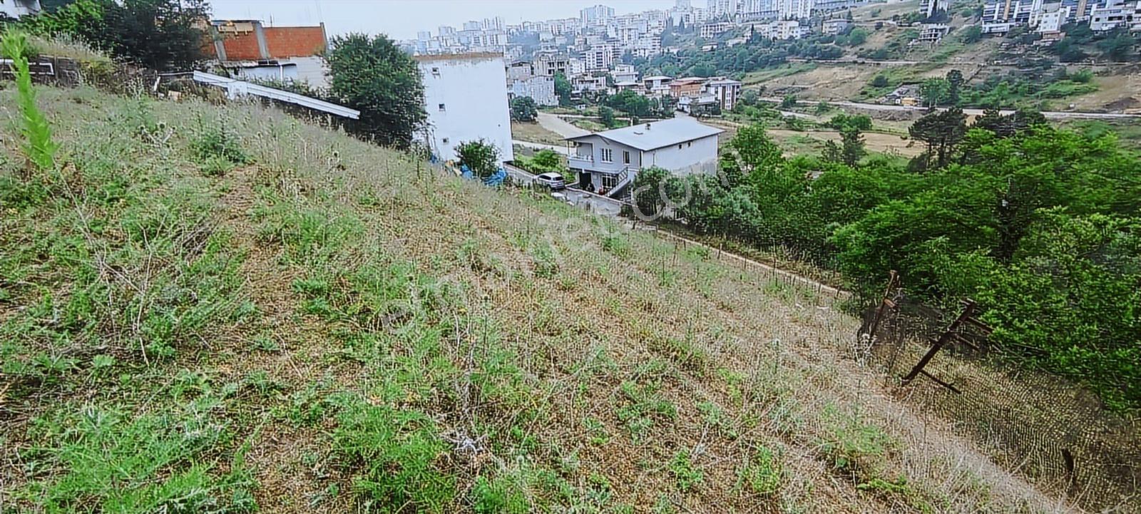 Hisar'dan Kalkancaya Cephe Acil Satılık Arsa Yatırımlık 504 M2 — fotoğraf 9