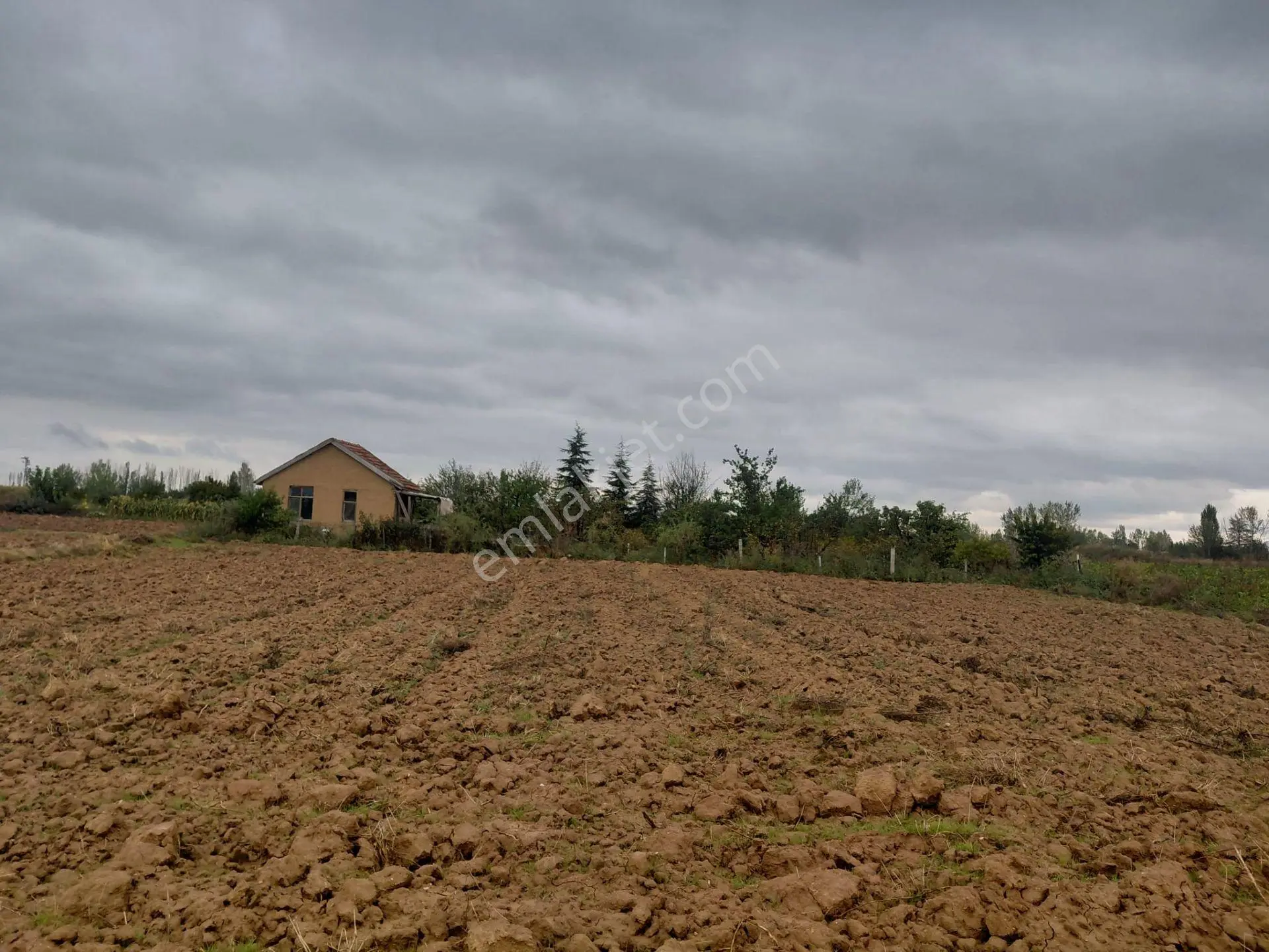 Bizim Emlaktan Akşehir Yazla Mahallesi'Nde Satılık 6550 M² Tarla