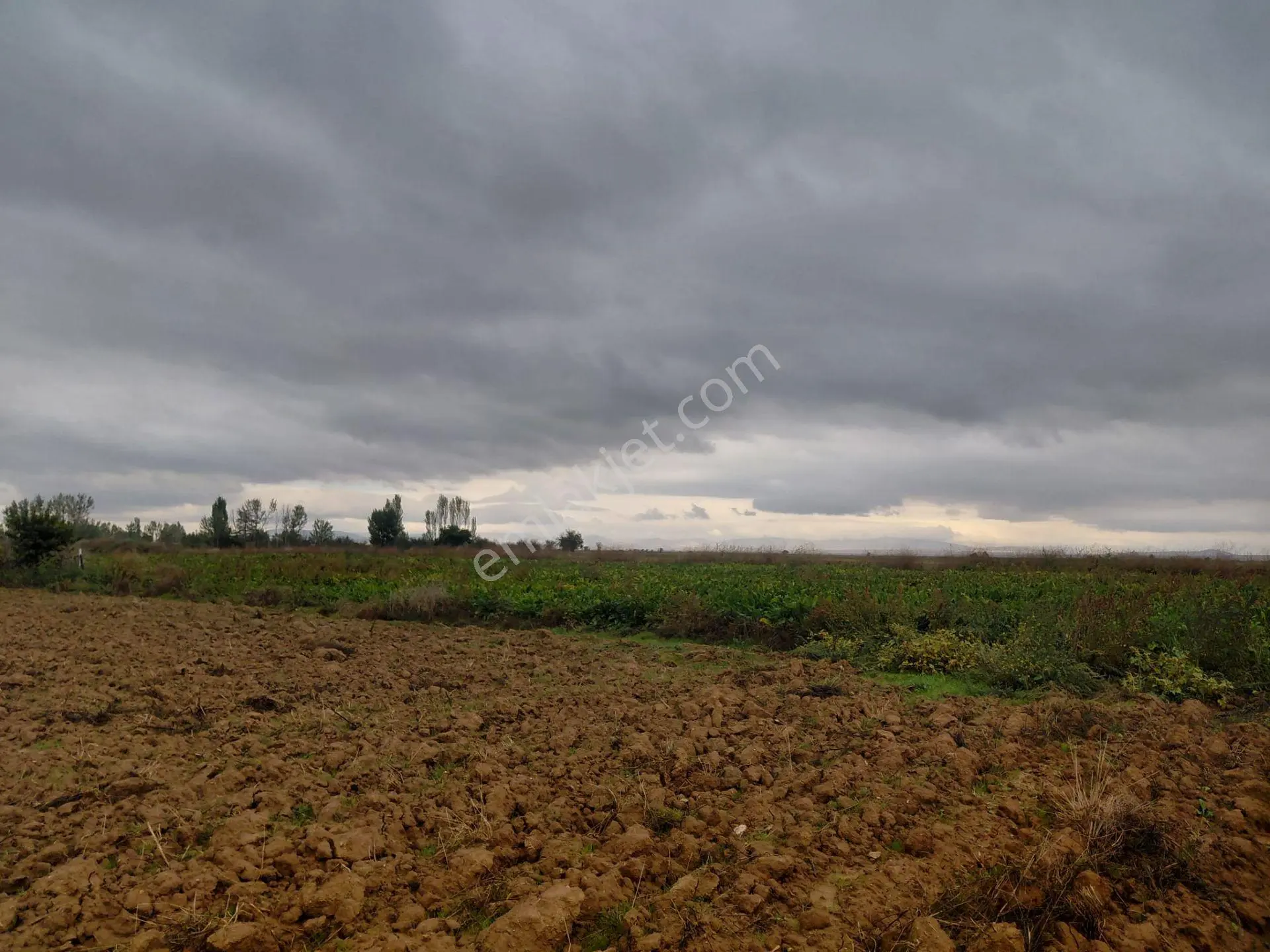 Bizim Emlaktan Akşehir Yazla Mahallesi'nde Satılık 6550 M² Tarla — fotoğraf 3