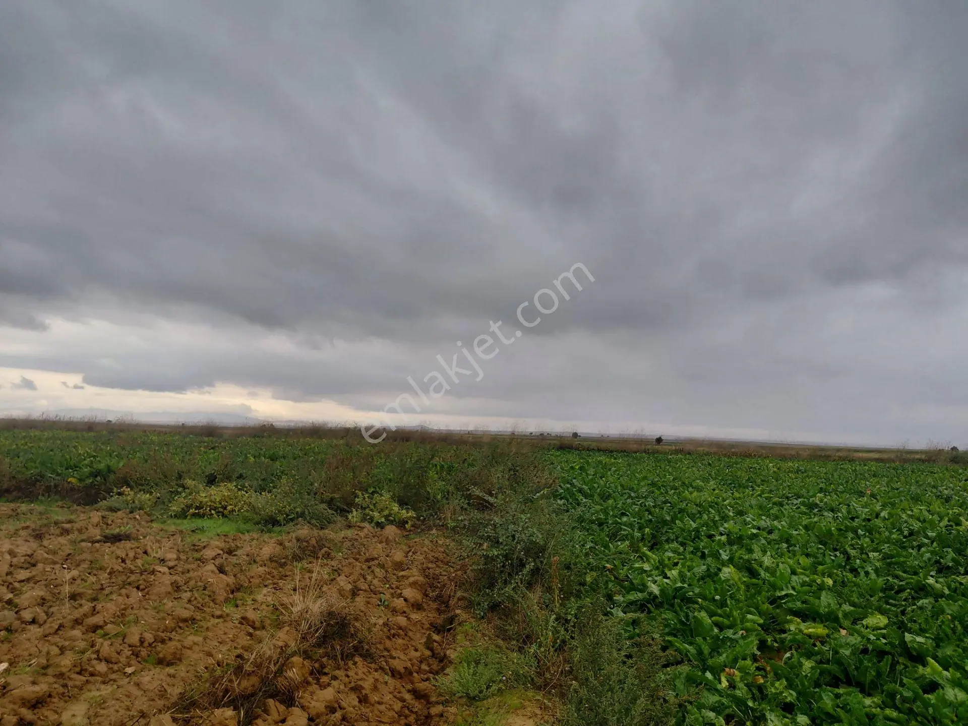 Bizim Emlaktan Akşehir Yazla Mahallesi'nde Satılık 6550 M² Tarla — fotoğraf 4