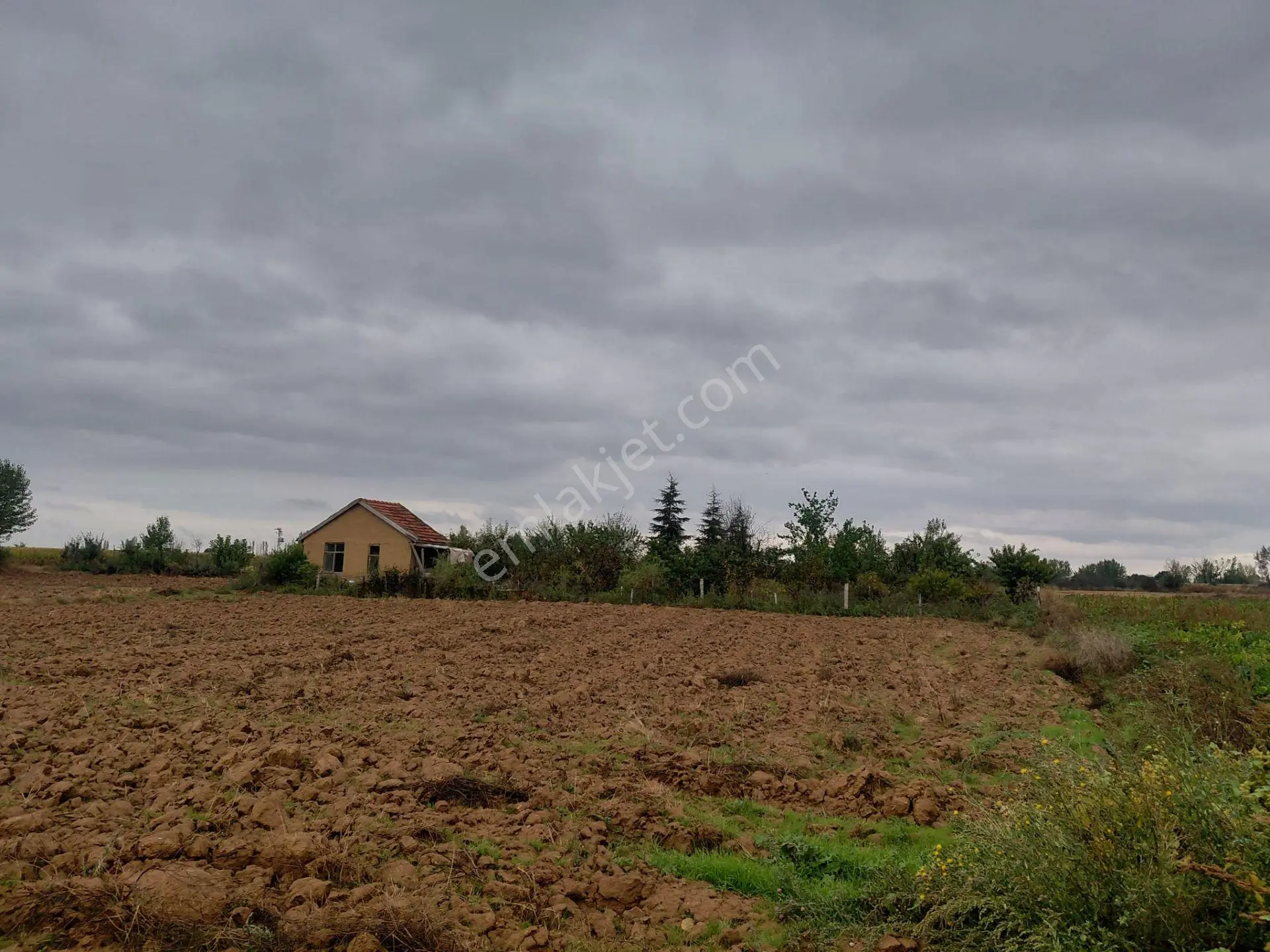 Bizim Emlaktan Akşehir Yazla Mahallesi'nde Satılık 6550 M² Tarla — fotoğraf 5