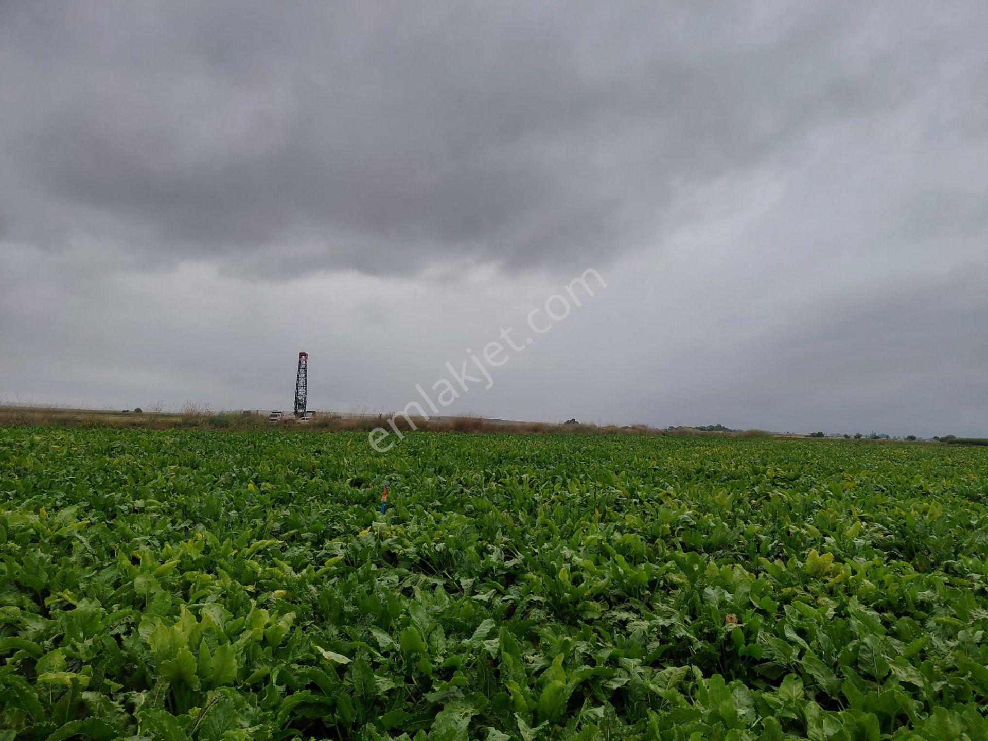 Bizim Emlaktan Akşehir Yazla Mahallesi'nde Satılık 6550 M² Tarla — fotoğraf 6