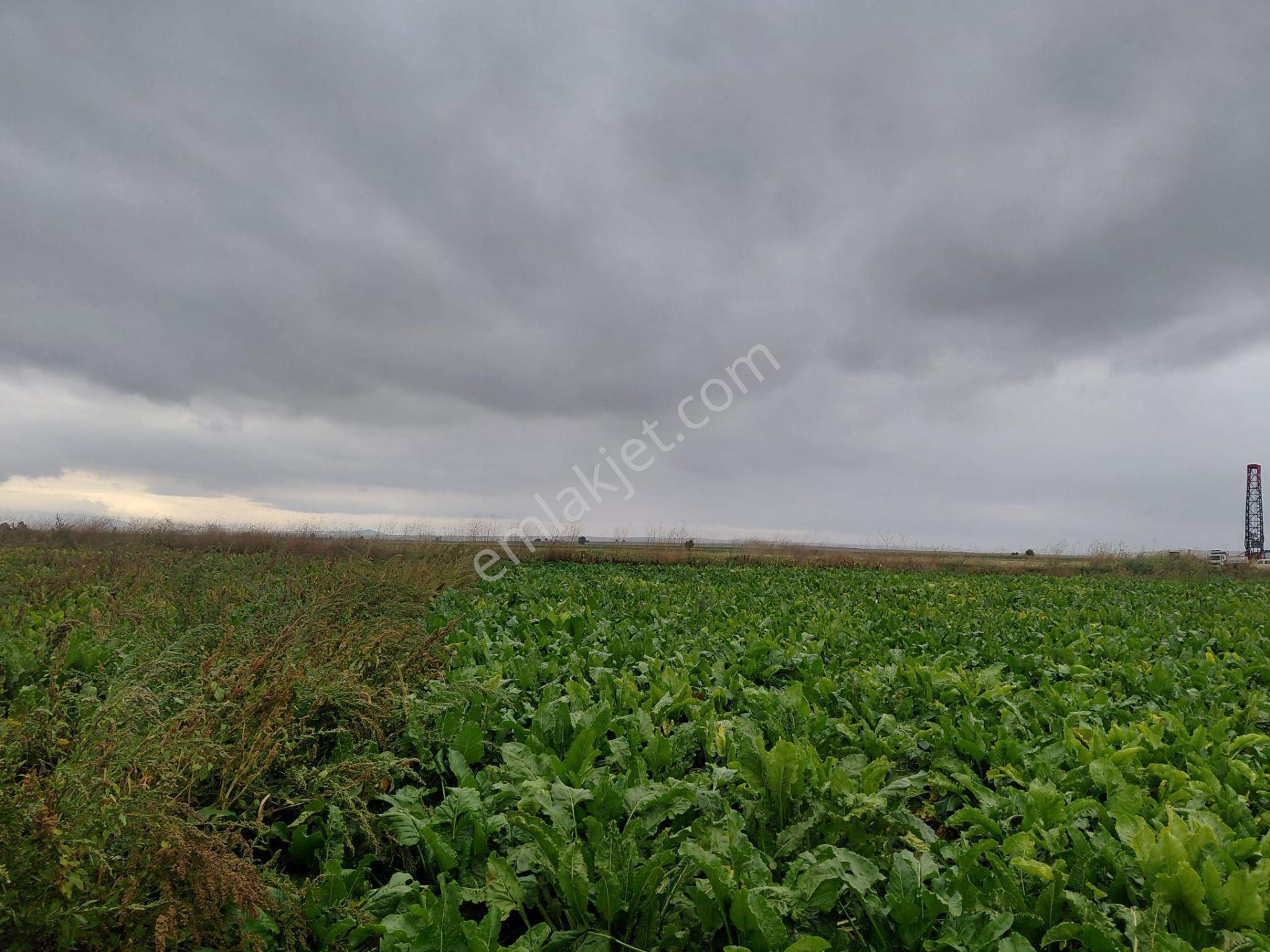 Bizim Emlaktan Akşehir Yazla Mahallesi'nde Satılık 6550 M² Tarla — fotoğraf 7