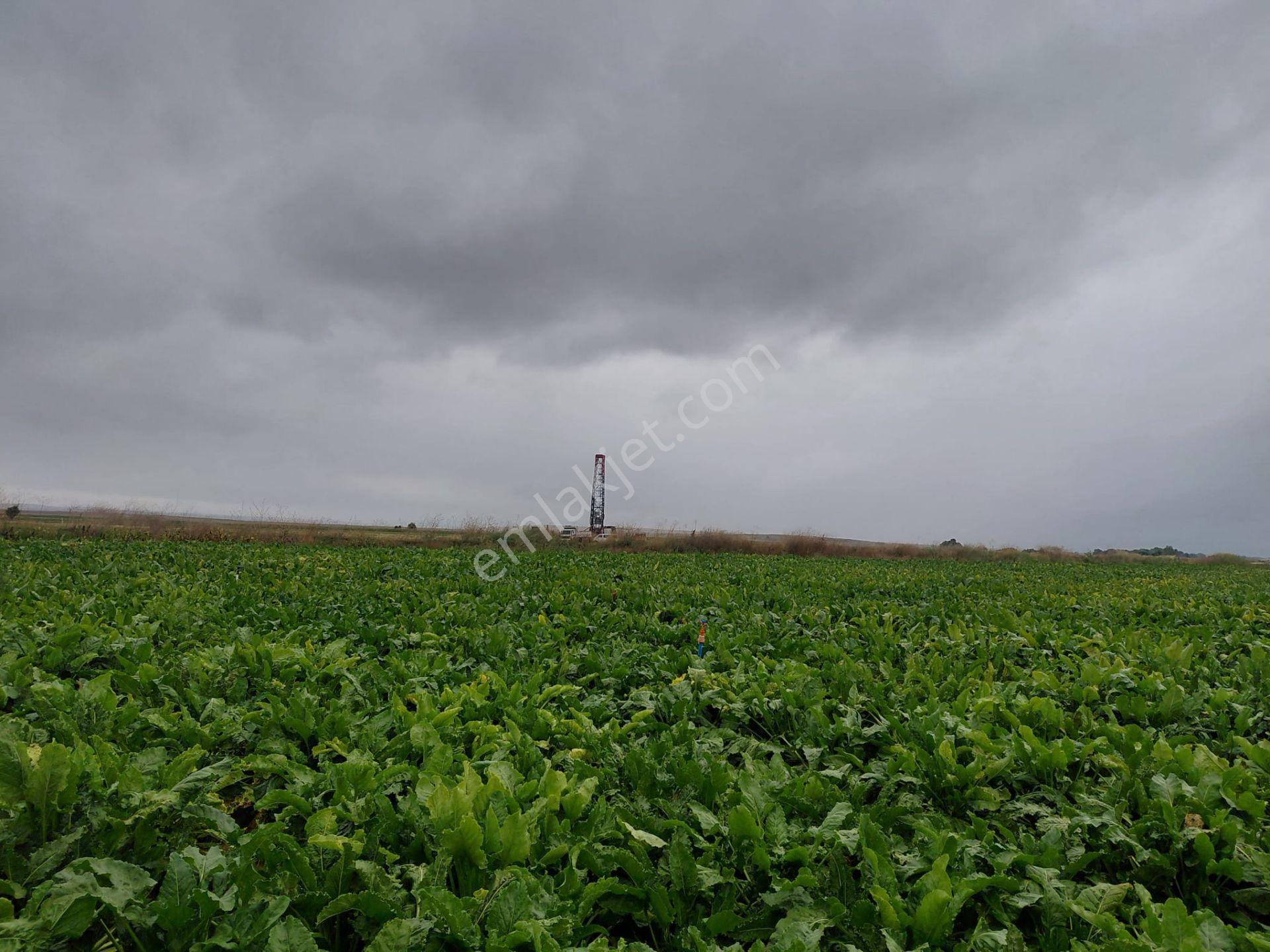 Bizim Emlaktan Akşehir Yazla Mahallesi'nde Satılık 6550 M² Tarla — fotoğraf 8