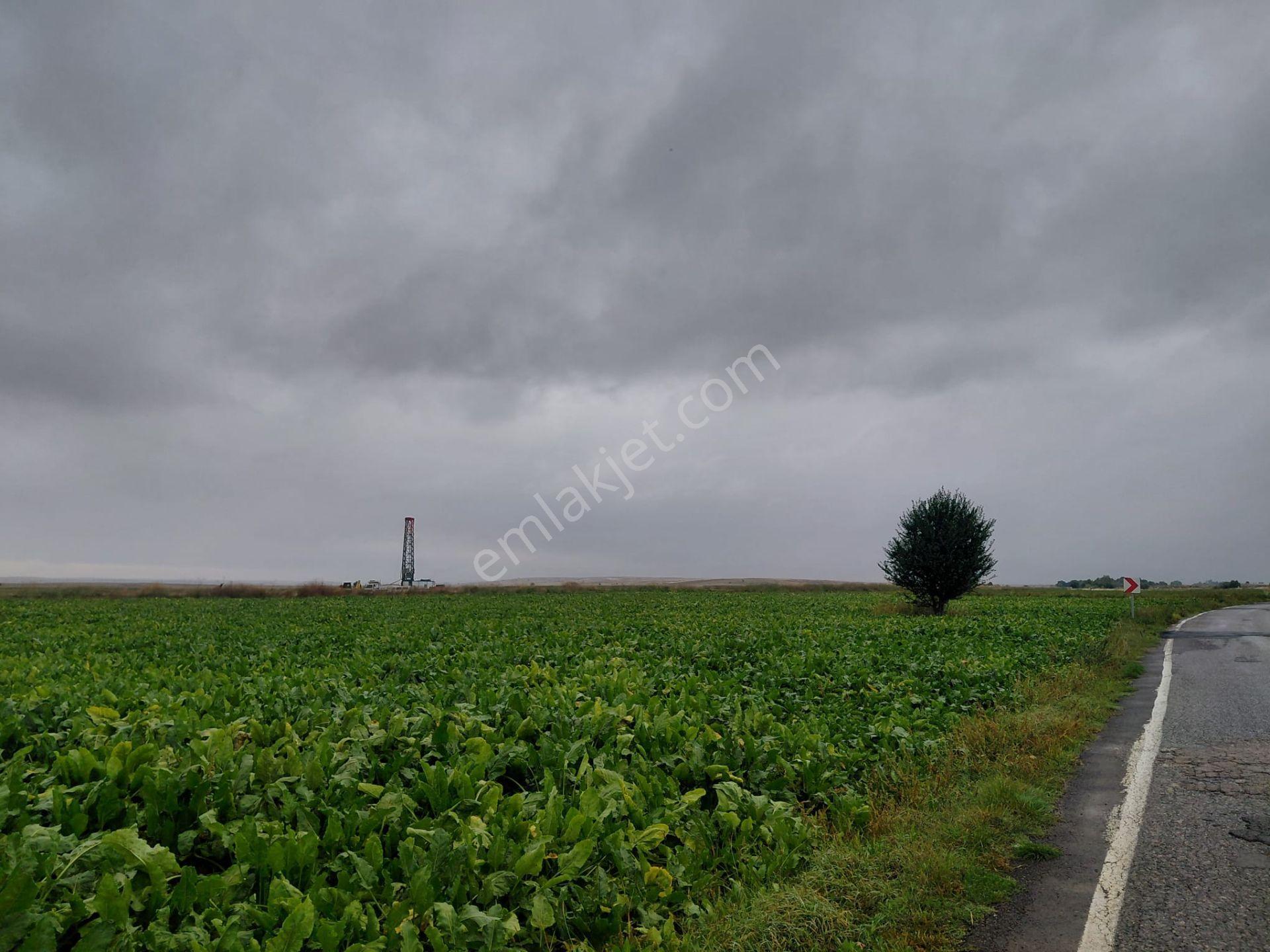 Bizim Emlaktan Akşehir Yazla Mahallesi'nde Satılık 6550 M² Tarla — fotoğraf 9