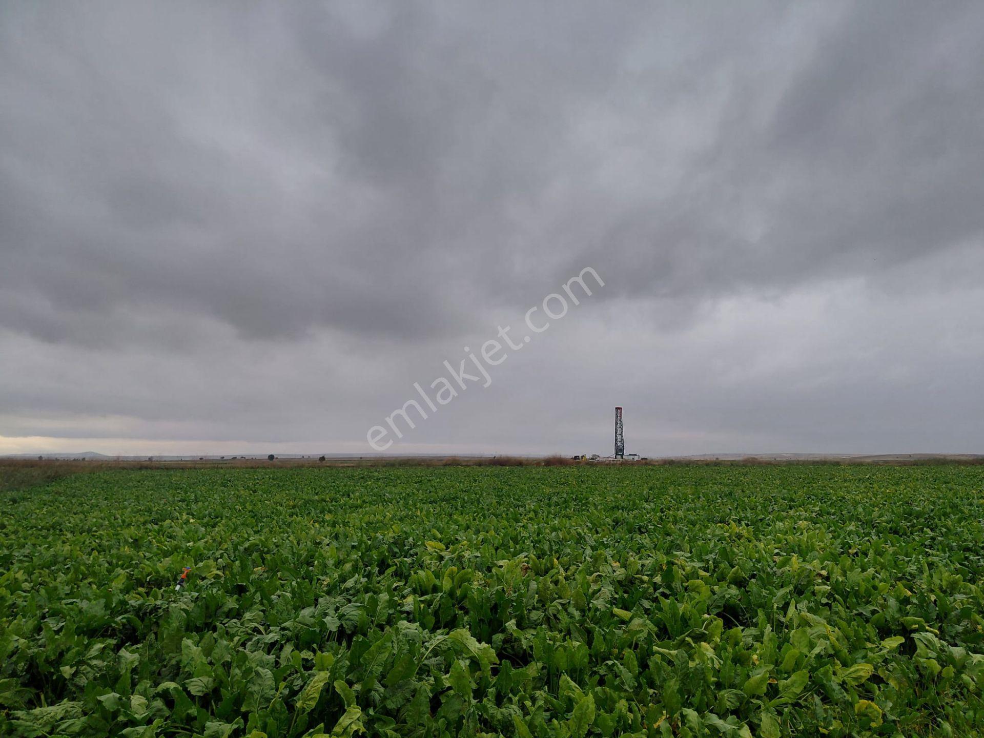 Bizim Emlaktan Akşehir Yazla Mahallesi'nde Satılık 6550 M² Tarla — fotoğraf 11