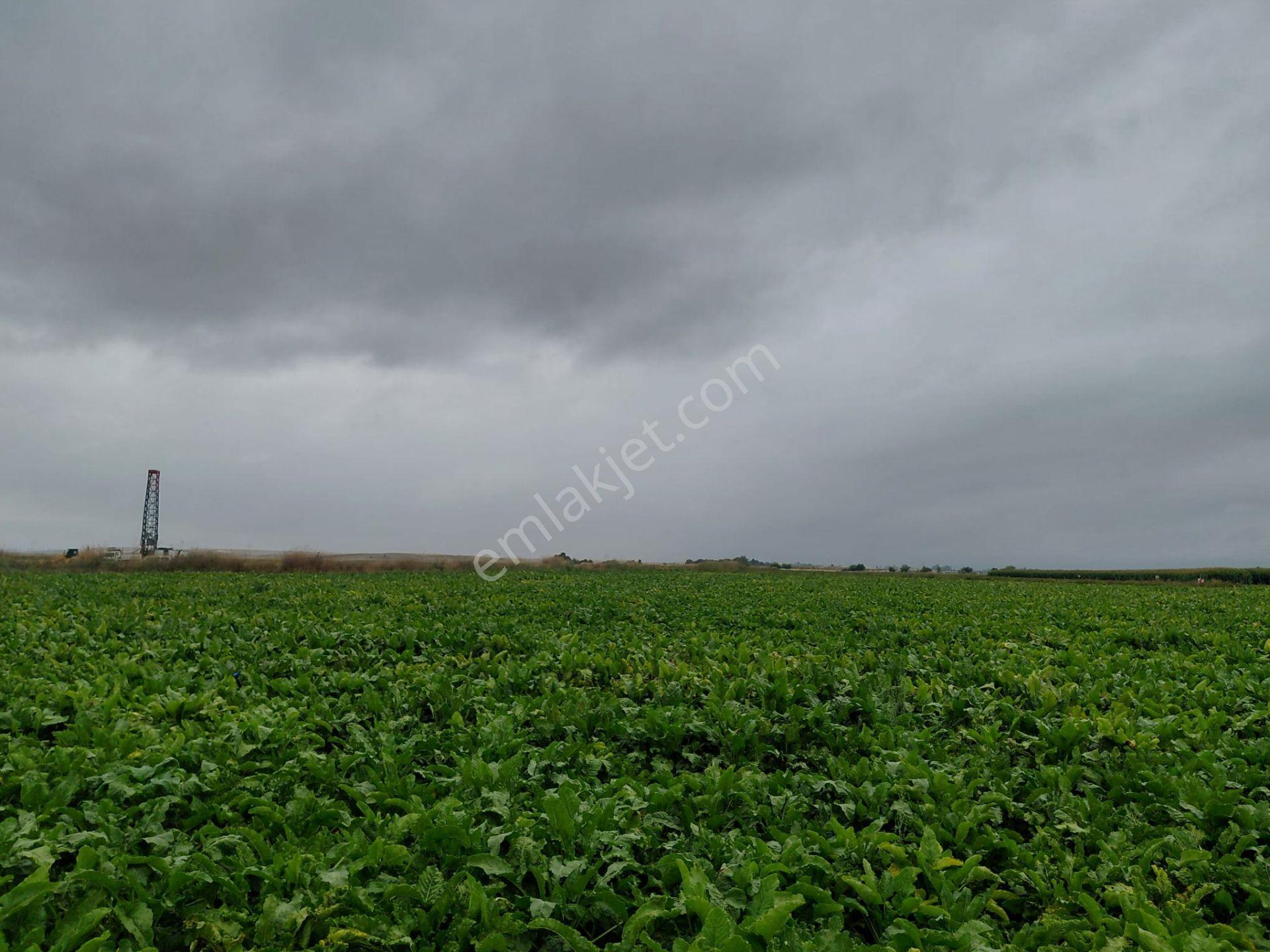 Bizim Emlaktan Akşehir Yazla Mahallesi'nde Satılık 6550 M² Tarla — fotoğraf 12