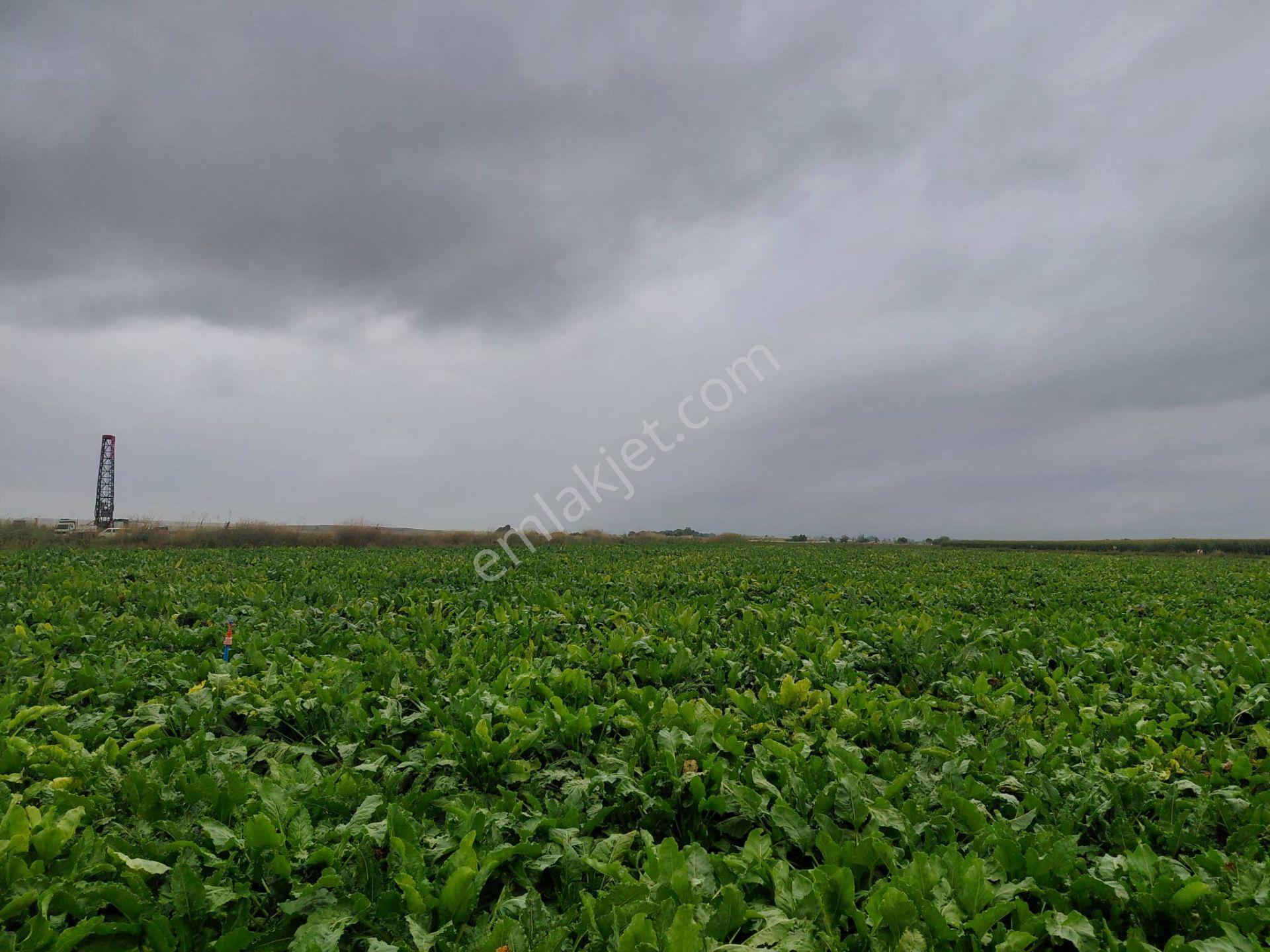 Bizim Emlaktan Akşehir Yazla Mahallesi'nde Satılık 6550 M² Tarla — fotoğraf 13