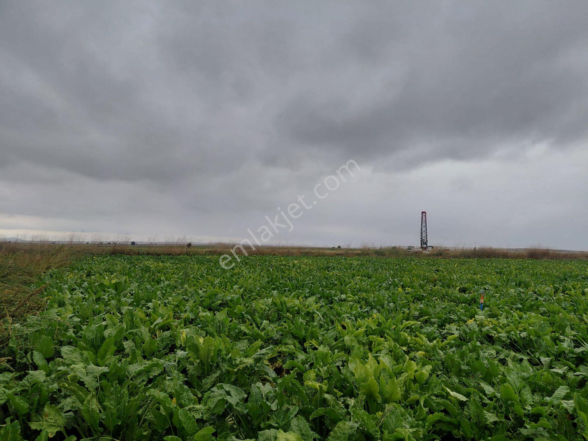 Bizim Emlaktan Akşehir Yazla Mahallesi'nde Satılık 6550 M² Tarla — fotoğraf 14