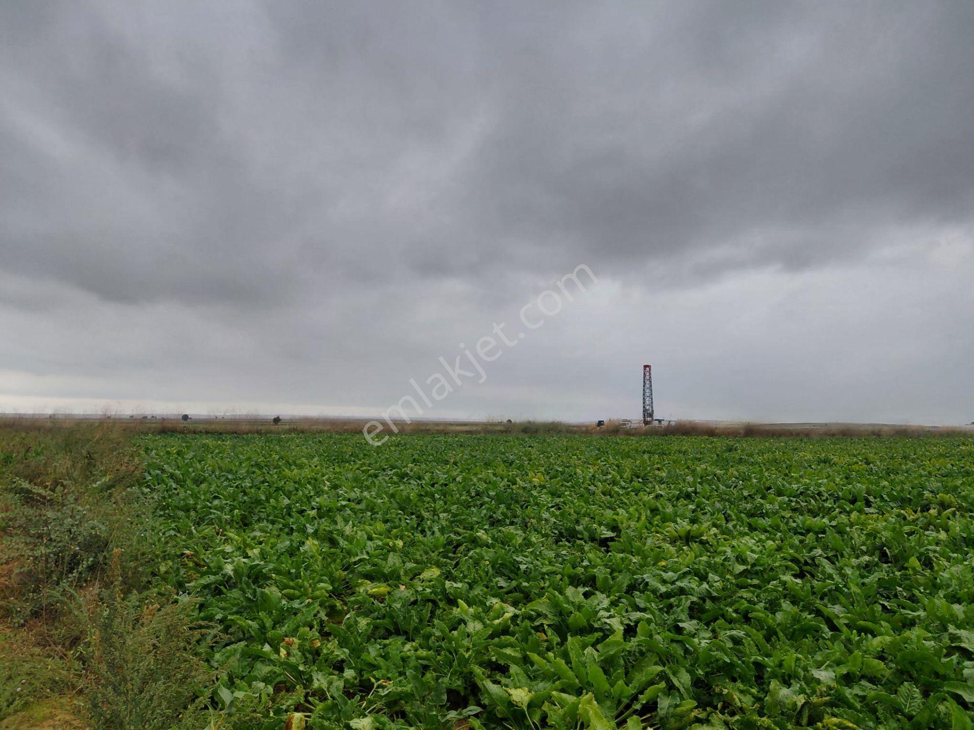 Bizim Emlaktan Akşehir Yazla Mahallesi'nde Satılık 6550 M² Tarla — fotoğraf 15