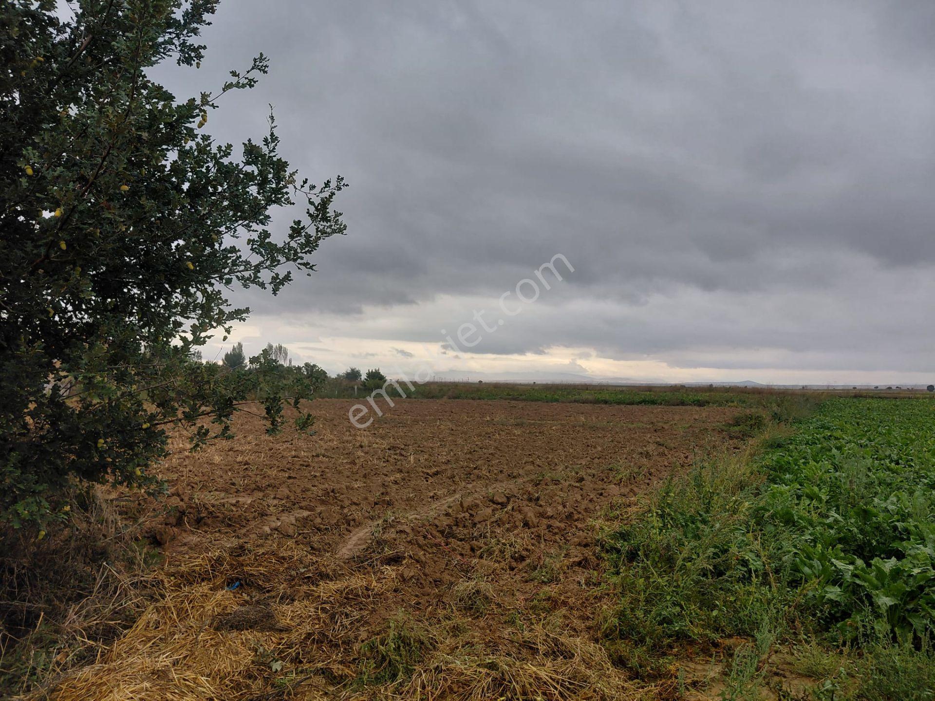 Bizim Emlaktan Akşehir Yazla Mahallesi'nde Satılık 6550 M² Tarla — fotoğraf 16