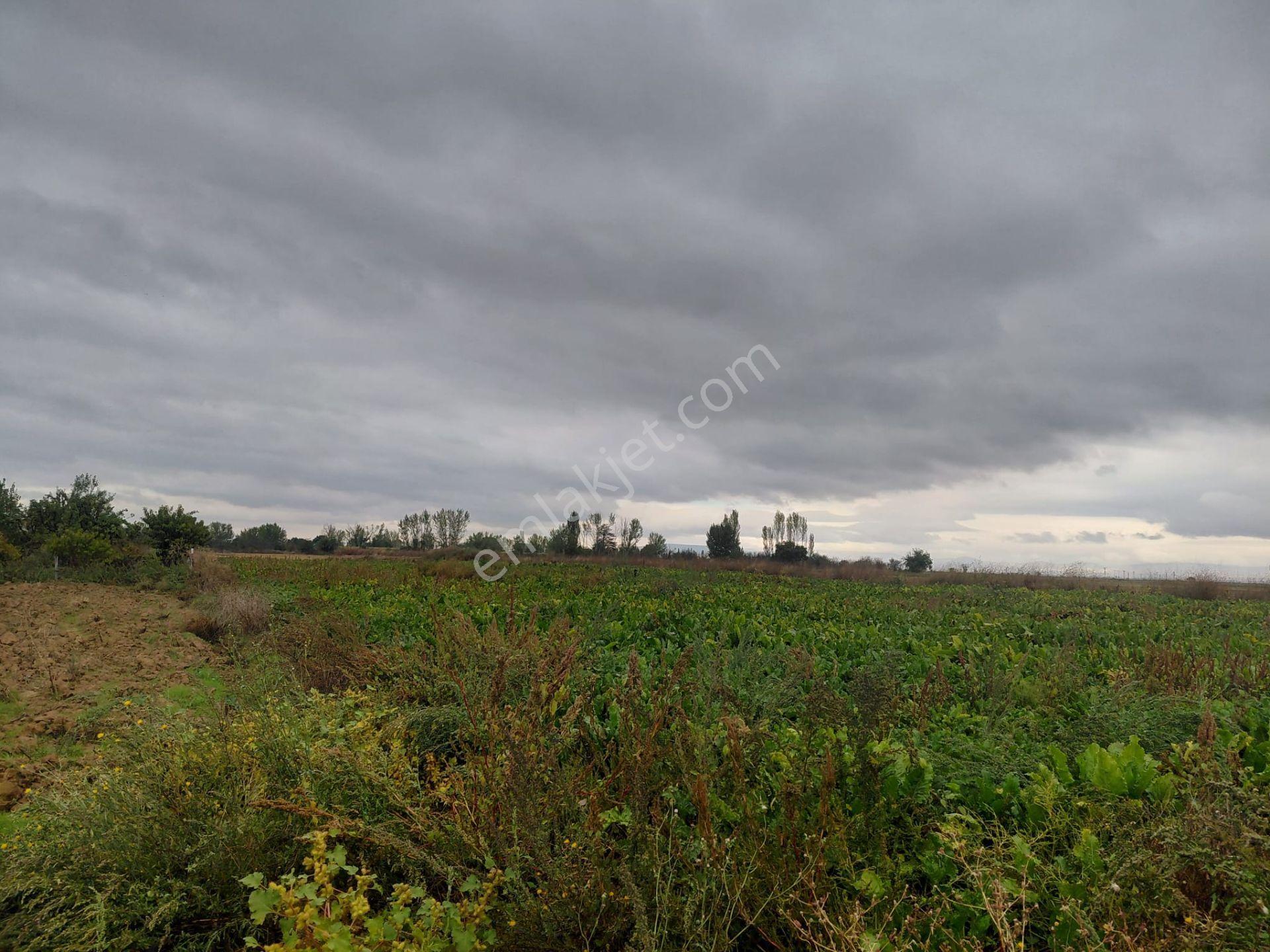 Bizim Emlaktan Akşehir Yazla Mahallesi'nde Satılık 6550 M² Tarla — fotoğraf 17