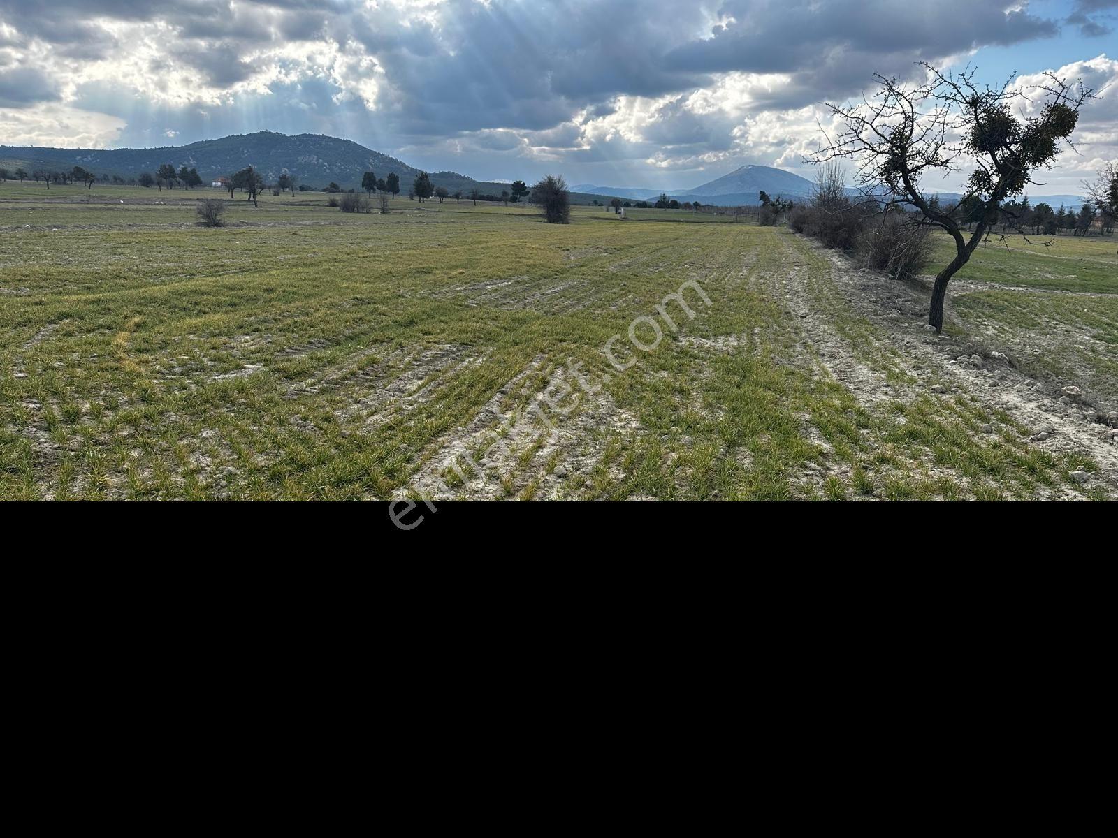 Korkuteli Akyarda 4.125 M² Satılık Tarla | Merkeze 10 Dk — fotoğraf 10