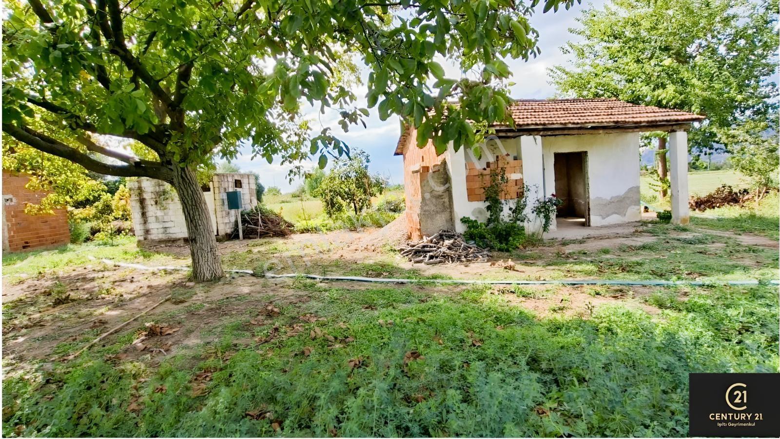 Aydın Pınarderede 3170 M² Tarla — fotoğraf 2