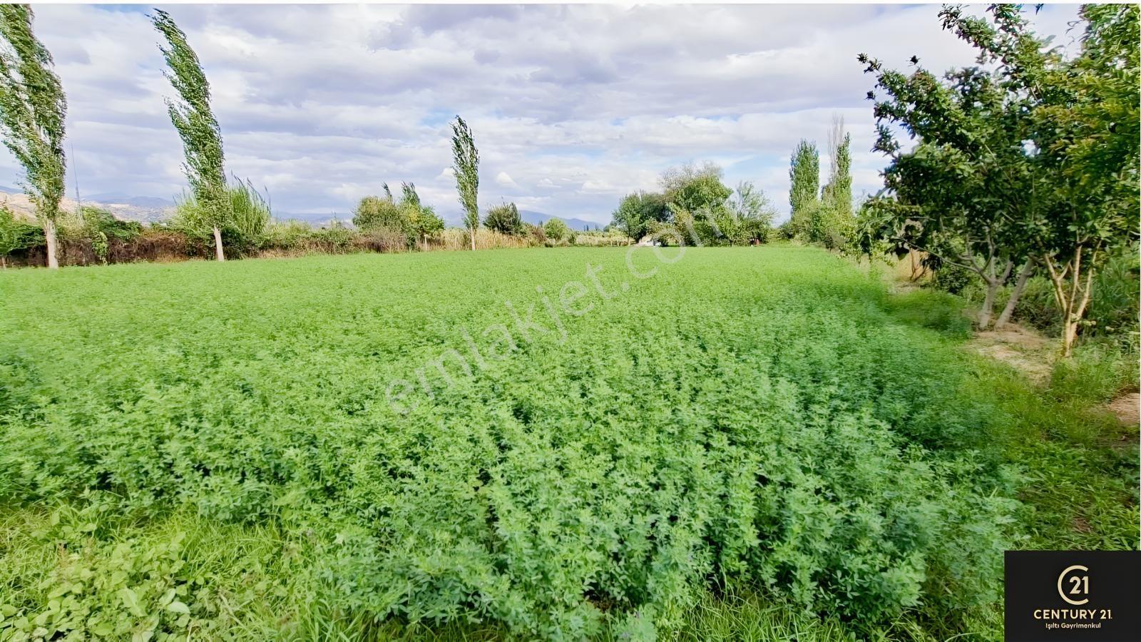 Aydın Pınarderede 3170 M² Tarla — fotoğraf 10